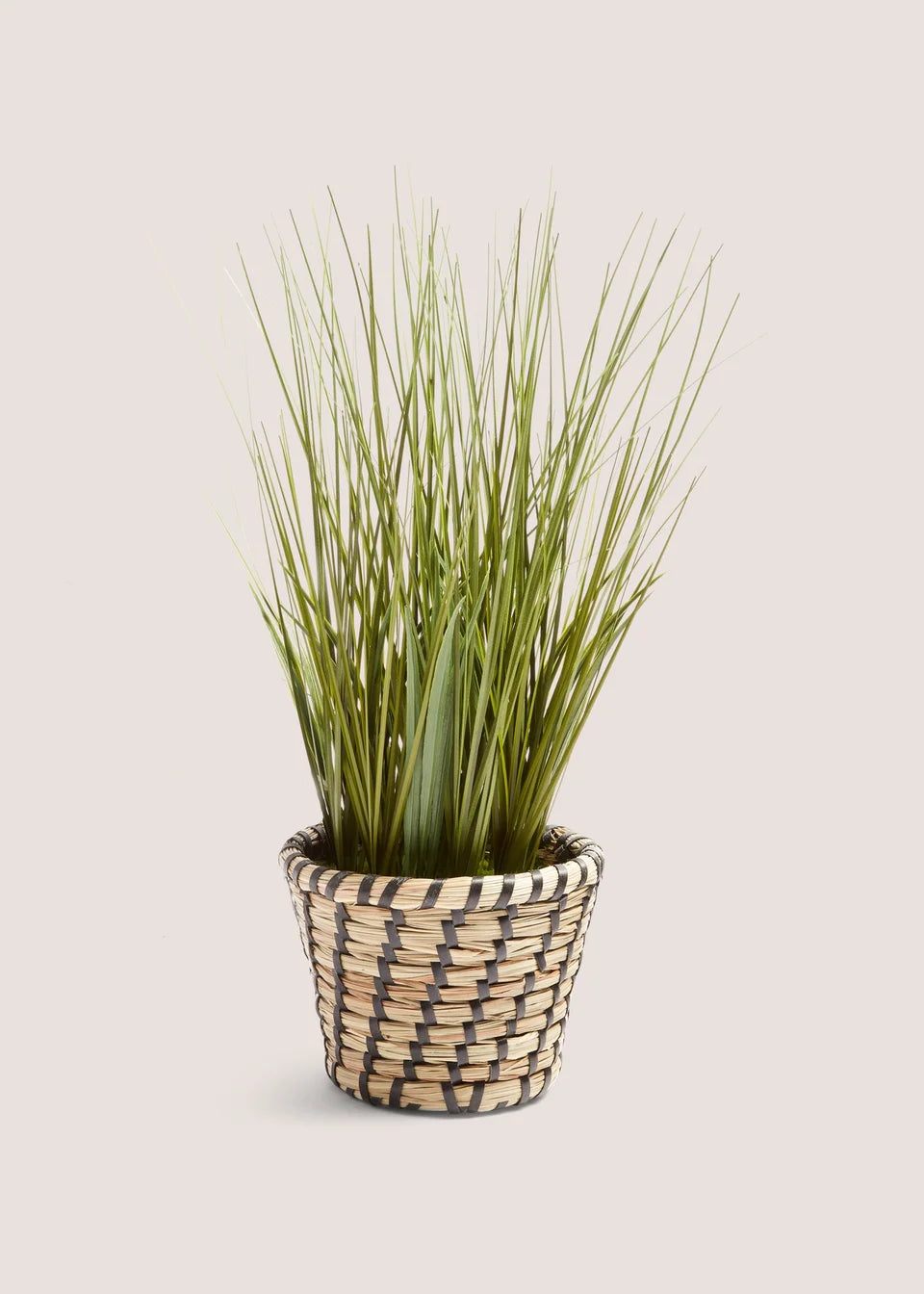 Faux Plant in Casa Woven Pot