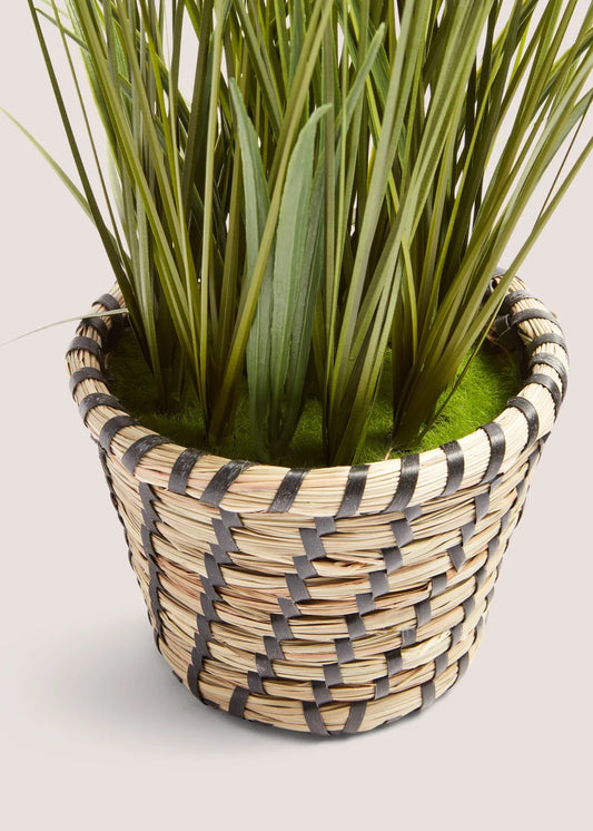 Faux Plant in Casa Woven Pot